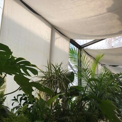 힐링되는 플랜테리어 공간