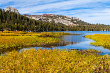 Grasss Filled Shoreline of Lake Mary With Crystal Crag and Mammoth Crest in the Distance, Mammoth Lakes, California, USA