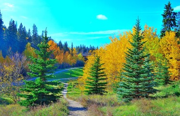 autumn forest landscape