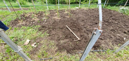 Fototapeta premium boys