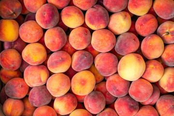 Background and texture of ripe peaches. Fruit harvest.