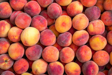 Background and texture of ripe peaches. Fruit harvest.