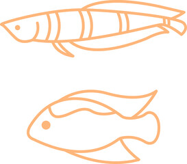 vector illustration of a fish