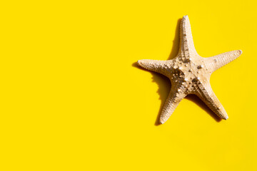 Fototapeta na wymiar Starfish on yellow background. Enjoy summer holiday concept.