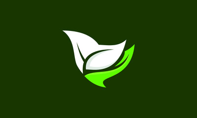 vector illustration of a green leaf