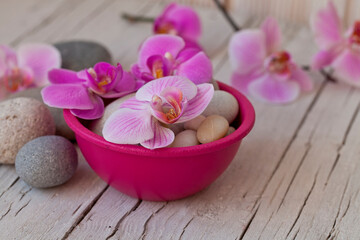 Obraz na płótnie Canvas Pink Orchid Flower Still Life