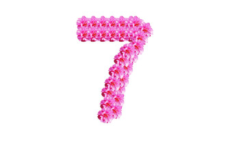 The number seven is made of pink flowers on a white background. Spring concept Floral letters of the alphabet for wedding design or flower festival