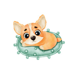 watercolor puppy corgi lies on the rug isolated on white background. Watercolor illustration