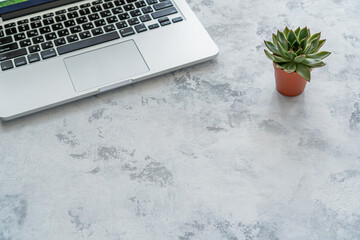 laptop and green plant on the table