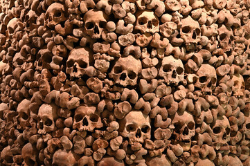 skulls human wall catacombs religious theme