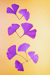 Fan-shaped leaves of ginkgo tree, surreal decorative background. Copy space