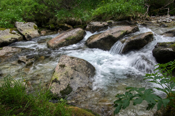 Fototapeta na wymiar Wild water, stream Maly studeny potok in High Tatras, summer touristic season, wild nature