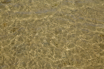 clear sea water of the red sea