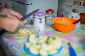 cooking at home kitchen table