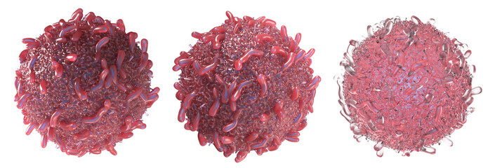 Red cancer cells