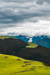 The green meadows on mountains in Kazila mountain, in Tibet, China, on a cloudy day, summer time.