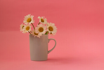 daisies in a white mug on a pink background
