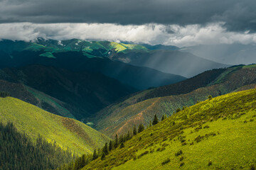 The green meadows on mountains in Tibet, China, summer  time, on a cloudy day.