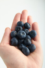 blueberry berries in hands