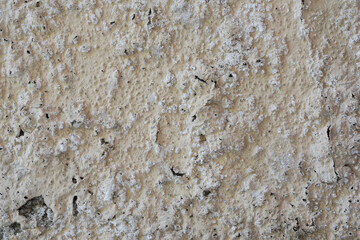 Weather effect on wall
