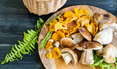 Wild edible chanterelles and porcini mushrooms on a wooden plate next to a basket