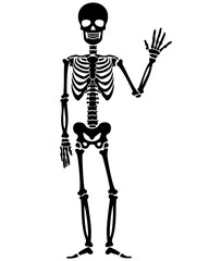 vector icon flat, skeleton, stencil