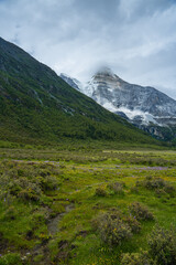 The meadows under snow mountains in Yading, Sichuan Province, during summer time, on cloudy day.