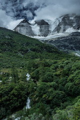 The meadows under snow mountains in Yading, Sichuan Province, during summer time, on cloudy day.