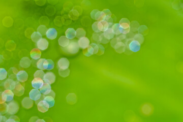 bokeh background white multi color heptagon snape / bright water drop on green shade space