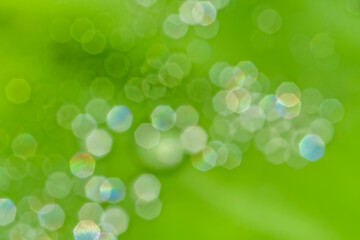 bokeh background white multi color heptagon snape / bright water drop on green shade space