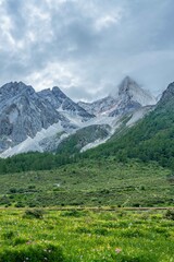 The snow mountain and meadows in Yading, on summer time, during a cloudy day, in Sichuan Province, China.