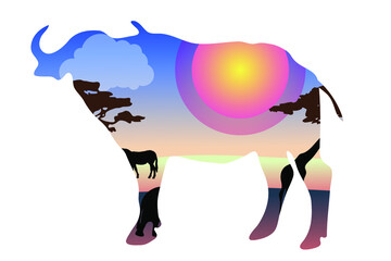 African buffalo colorful vector silhouette