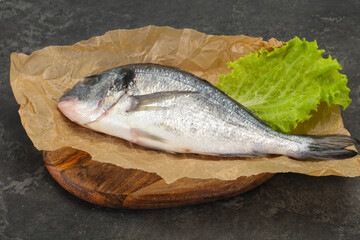 Raw Dorada fish  for cooking