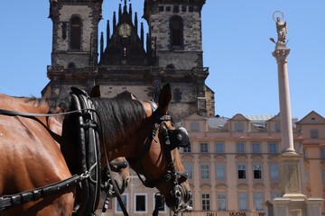 Naklejka na ściany i meble Old Town on the city of Prague