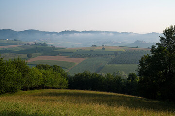 Obraz premium Monferrato