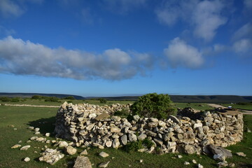 An impressive yet small stone kraal enclosure around a lonely thorn bush, green grass and bright...