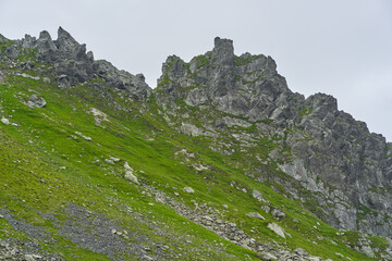 Obraz premium Summer in the mountains