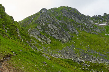 Summer in the mountains