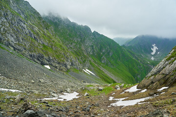 Summer in the mountains