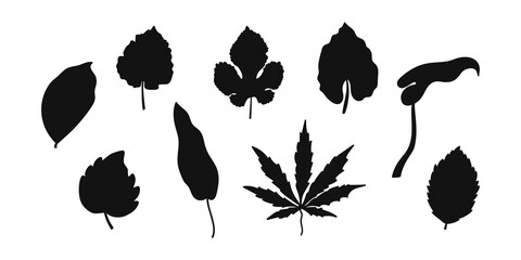 Doodle leaf set icons isolated on white. Stencil leaves. Vector stock illustration. EPS 10