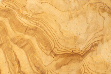 Olive Wood Texture Background, Solid Wooden Burr or Burl Pattern