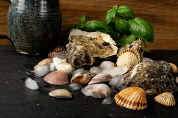 Fresh Oysters, Molluscs and Mussels in Seafood Restaurant