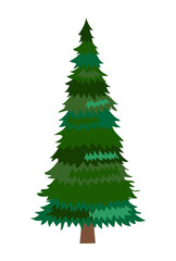 Fir. Tree isolated on a white background. Vector illustration.