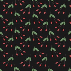 pattern with cranberries and rose hips