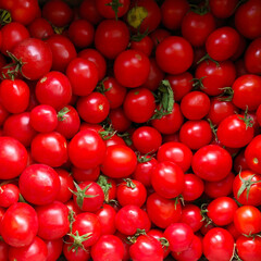 Lots of ripe round red tomatoes background