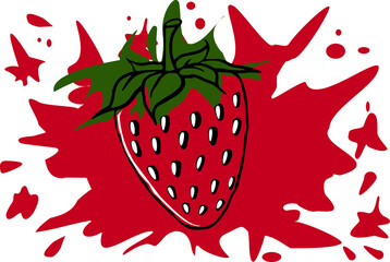 vector illustration of strawberry on the red background