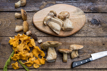 Composition of chanterelles and porcini mushrooms on wooden boards with a knife