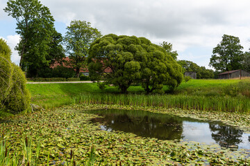 Natural Green landsacapes with trees
