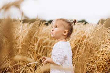 pretty cute baby girl with a beautiful smile wearing summer straw hat in a walk in the  wheat fields. selective focus. family, people concept © Ananass