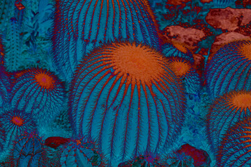 Abstract cactus texture background in blue and red © vvicca